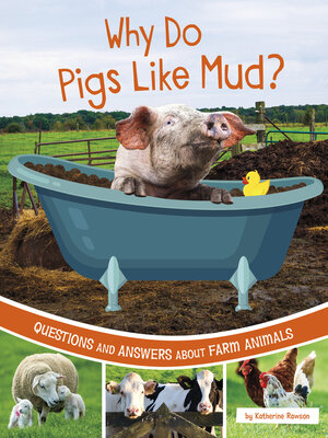 cover image of Why Do Pigs Like Mud?
